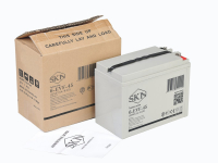 Тяговый аккумулятор SKN 6-EVF-45 (12V47.5A/H C5) HV Market