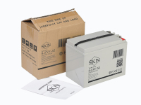 Тяговый аккумулятор SKN 6-EVF-52 (12V55A/H C5) HV Market