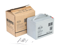 Тяговый аккумулятор SKN 6-EVF-55 (12V58.5A/H C5) HV Market