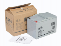 Тяговый аккумулятор SKN 6-EVF-60 (12V64A/H C5) HV Market