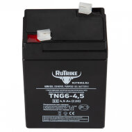 Аккумуляторная батарея RuTrike TNG6-4,5 (6V4,5A/H C20) HV Market