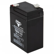 Аккумуляторная батарея RuTrike TNG6-4,5 (6V4,5A/H C20) HV Market