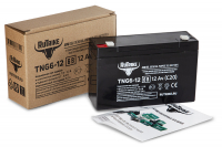 Аккумуляторная батарея RuTrike TNG6-12 (6V12A/H C20) HV Market