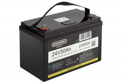 Литиевый тяговый аккумулятор Gelbert LiFePO4 (24V/50Ah/80A/1,200Wh) BT/Display HV Market