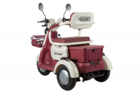 Электротрицикл Rutrike Gelbert Mercury 48V/60V 650Вт Зеленый HV Market