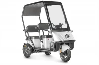 Электротрицикл Wanshida NIPLA 500 60V 1000Вт Черно-белый HV Market