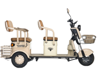 Электротрицикл Rutrike Gelbert Atlas 48V/60V 600Вт Зеленый HV Market