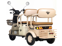 Электротрицикл Rutrike Gelbert Atlas 48V/60V 600Вт Зеленый HV Market