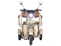 Электротрицикл Rutrike Gelbert Atlas 48V/60V 600Вт Зеленый HV Market