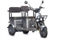 Электротрицикл Wanshida U1-X 60V 800Вт Серый HV Market