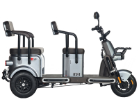 Электротрицикл Wanshida U1-X 60V 800Вт Серый HV Market