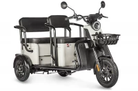 Электротрицикл Wanshida LC300 60V 1000Вт Серый HV Market