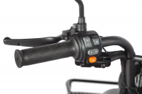 Электротрицикл Wanshida LC300 60V 1000Вт Серый HV Market