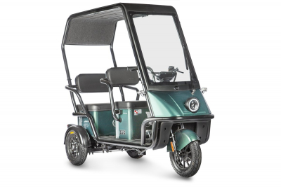 Электротрицикл Wanshida NIPLA 500 60V 1000Вт Черно-зеленый