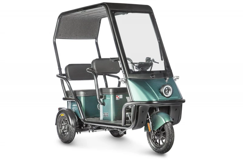 Электротрицикл Wanshida NIPLA 500 60V 1000Вт Черно-зеленый