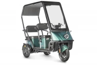 Электротрицикл Wanshida NIPLA 500 60V 1000Вт Черно-зеленый HV Market