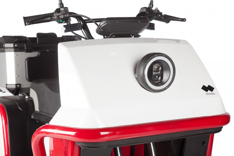 Электротрицикл Wanshida DOUHAO 60V 800Вт Черно-бело-красный