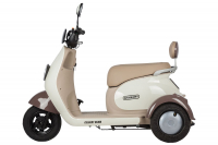 Электротрицикл Rutrike Gelbert Ogma 48V/60V 650Вт Бело-коричневый HV Market