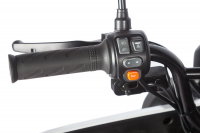 Электротрицикл Wanshida DOUHAO 60V 800Вт черно-серый HV Market