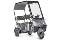 Электротрицикл Wanshida NIPLA 500 60V 1000Вт черно-серый HV Market