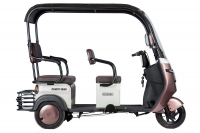 Электротрицикл Rutrike Gelbert Sarin 48V/60V 1000Вт Серо-белый HV Market
