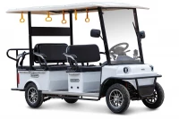 Гольф-кар мини Gelbert Fact 60V 1200Вт Красный HV Market