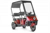 Электротрицикл Wanshida NIPLA 500 60V 1000Вт Черно-красный HV Market