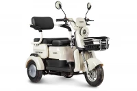 Электротрицикл Rutrike Gelbert Mercury 48V/60V 650Вт Черный HV Market