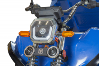 Грузовой электрический трицикл Rutrike D5 1700 гидравлика (60V1200W) темно-зеленый HV Market