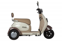 Электротрицикл Rutrike Gelbert Ogma 48V/60V 650Вт Серый HV Market