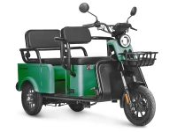 Электротрицикл Wanshida LC-F150 60V 1000Вт Зеленый HV Market