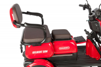 Электротрицикл Rutrike Gelbert Sun 48V/60V 650Вт Черный HV Market