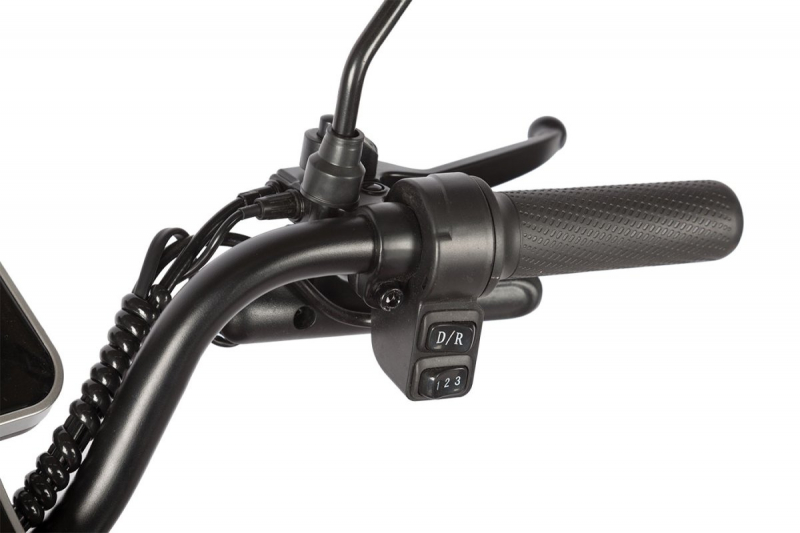 Электротрицикл Rutrike Gelbert Sun 48V/60V 650Вт Черный HV Market