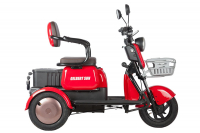 Электротрицикл Rutrike Gelbert Sun 48V/60V 650Вт Фиолетово-белый HV Market