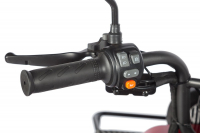 Электротрицикл Wanshida LC-F200 60V 1000Вт Серый HV Market