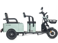 Электротрицикл Wanshida LC-F150 60V 1000Вт Серый HV Market