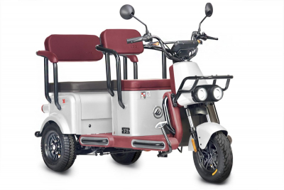 Электротрицикл Wanshida U1-X 60V 800Вт Белый HV Market
