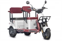 Электротрицикл Wanshida U1-X 60V 800Вт Белый HV Market