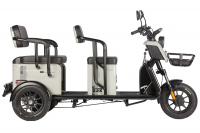 Электротрицикл Wanshida LC300 60V 1000Вт Черный HV Market