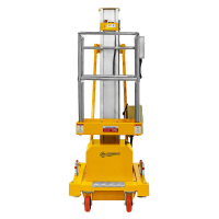 Подъемник мачтовый несамоходный GTWY 6-100 (220В; 125 кг; 6 м) SMARTLIFT HV Market