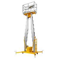 Подъемник мачтовый несамоходный GTWY 12-200S (220В; 200 кг; 12 м) SMARTLIFT HV Market