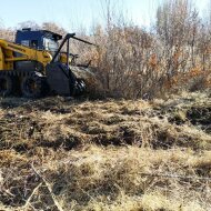 Мини-погрузчик SINOMACH 275F HV Market