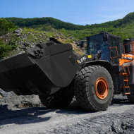 Фронтальный погрузчик DEVELON DL420A-7M HV Market