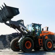 Фронтальный погрузчик DEVELON DL320A-7M HV Market