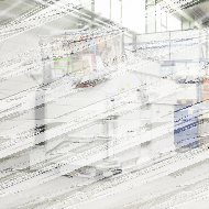 Горизонтальный пресс HSM HL 7009