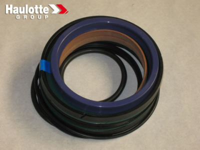 2505002790A - Ремкомплект цилиндра телескопа HTL 194P262760