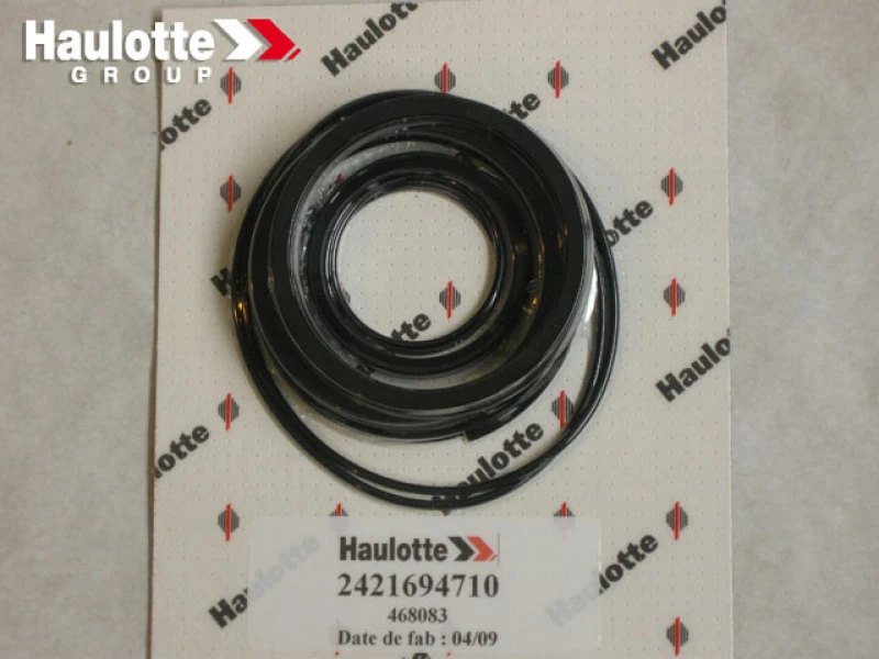 2421694710 - Набор прокладок для гидромотора HV Market